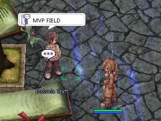 MVP Fields